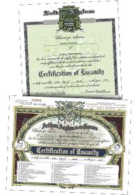 A pszichológusnak az épelméjűségről van papírja a nyomozónak az őrületről Insanity